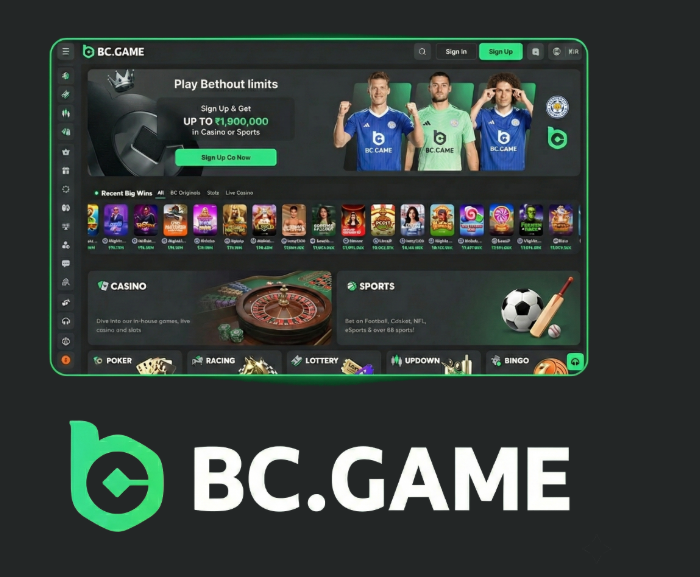 Experience Exciting Gaming at BC.Game Argentina Casino